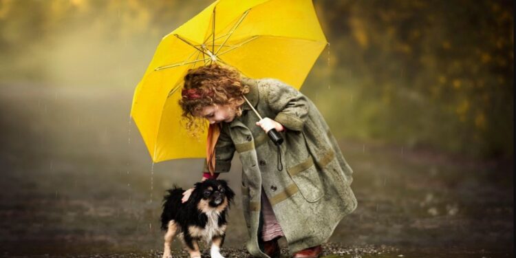 Ливни и прохладная погода: Синоптики рассказали какие температуры нас сегодня ждут