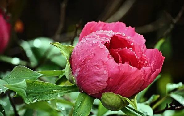 Дожди с грозами: Синоптики рассказали какой будет погода 28 мая