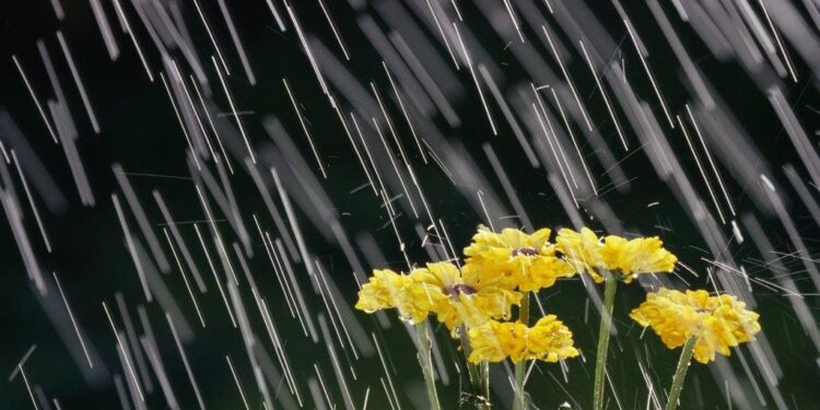 Синоптики рассказали какой будет погода 29 мая