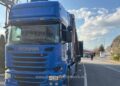Более 20 тонн яблок с пестицидами из Молдовы пытались провезти в Румынию