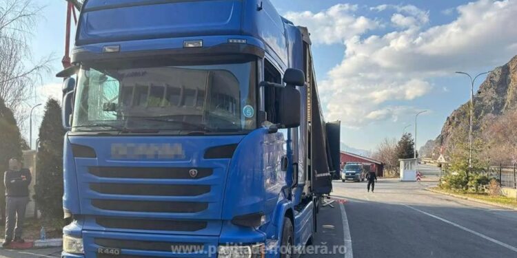 Более 20 тонн яблок с пестицидами из Молдовы пытались провезти в Румынию