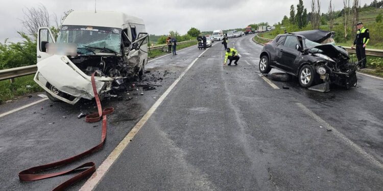 70 человек и 30 псов: В Чимишлии пресечены нелегальные собачьи бои