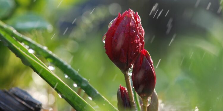 Облачно и дожди: Какой будет погода 7 мая