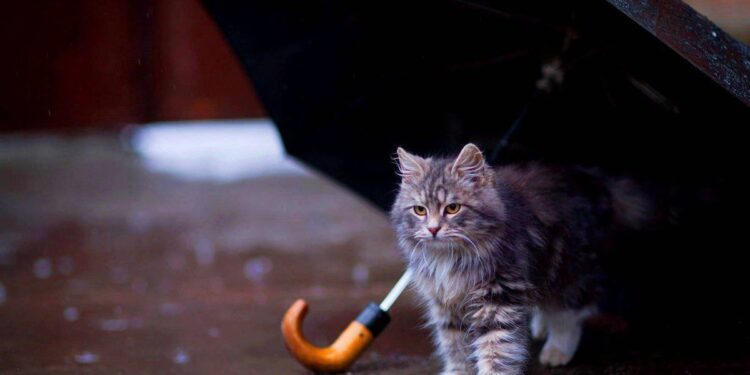 Синоптики рассказали какой будет погода 8 мая