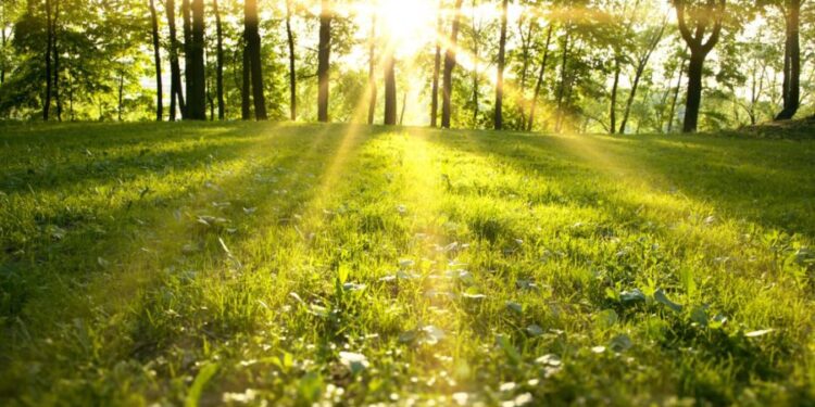 2 мая принесёт до +22°C и возможные ночные заморозки