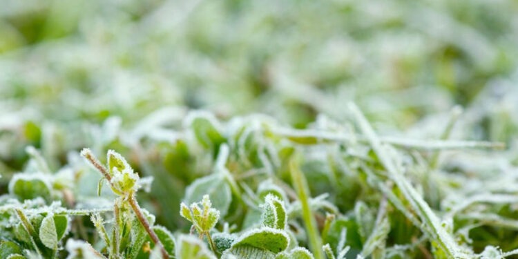 Метео-оповещение: Желтый код в связи с заморозками в Молдове