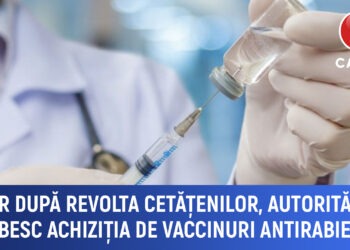 Abia după revolta cetățenilor, autoritățile grăbesc achiziția de vaccinuri antirabie
