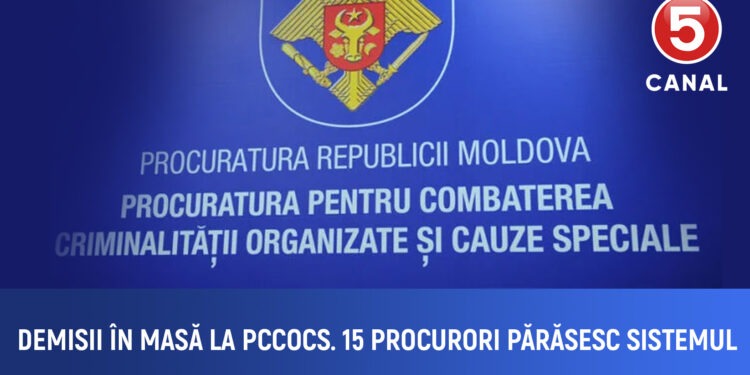Demisii în masă la PCCOCS: 15 procurori ies din sistem