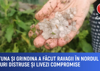 Furtuna și grindina din 19 mai a făcut ravagii în nordul țării: Culturi distruse și livezi compromise