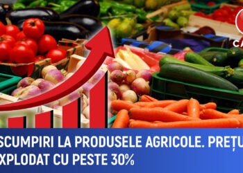 Scumpiri în agricultură: Prețurile produselor agricole au crescut cu 30% în primul trimestru din 2025