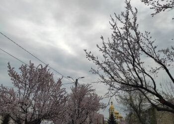 Прогноз погоды на 17 мая