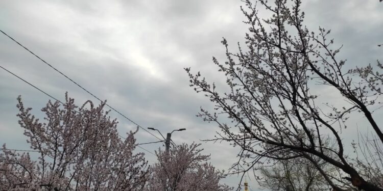 Прогноз погоды на 17 мая