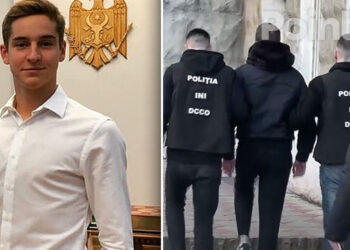 Мошенничество с криптовалютой: Никита Додон помещен под домашний арест