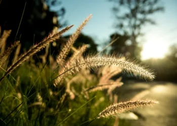 Прогноз погоды на 31 мая