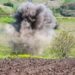 Peste 200 de obiecte explozive, nimicite pe teritoriul Republicii Moldova, în luna aprilie: Una dintre cele mai periculoase misiuni de deminare