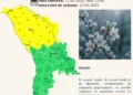 Avertizare meteo: Cod Galben de înghețuri în Moldova