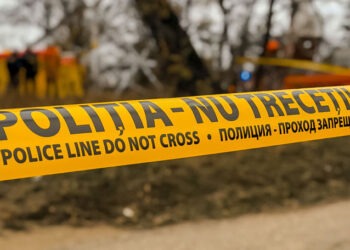 Glodeni: Un bărbat, acuzat că a târât cu mașina un cal și l-a înjunghiat