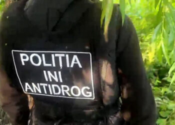 Grupare de traficanți de droguri destructurată: 650 de grame de PVP scoase din circuit în Chișinău