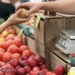 Цены на сельхозпродукцию в январе-марте выросли на 30,5%