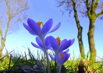 „Vreme variabilă și temperaturi mai scăzute în toată țara