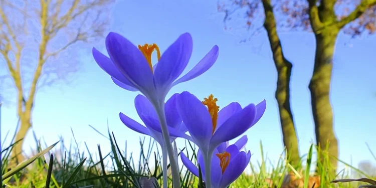 „Vreme variabilă și temperaturi mai scăzute în toată țara