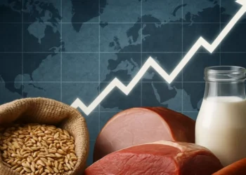 Inflația alimentară revine: creșteri semnificative la carne și lactate