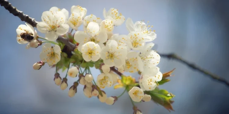 Прогноз погоды на 10 мая