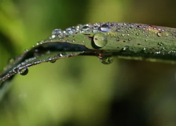 Vreme instabilă: temperaturi de până la 20°C și posibile ploi