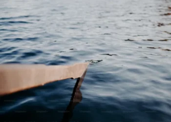 Un bărbat din Criuleni, trimis în judecată pentru migrație ilegală