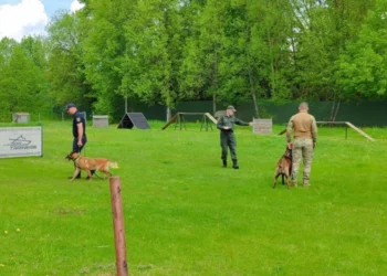 Молдавские служебные собаки награждены за эффективность и дисциплину