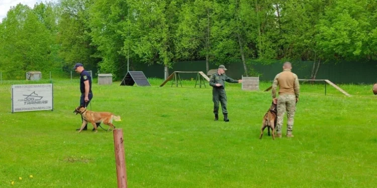 Молдавские служебные собаки награждены за эффективность и дисциплину
