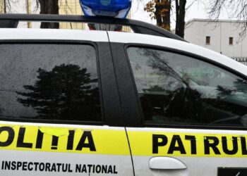 Polițist mușcat de un șofer beat pe Șoseaua Balcani