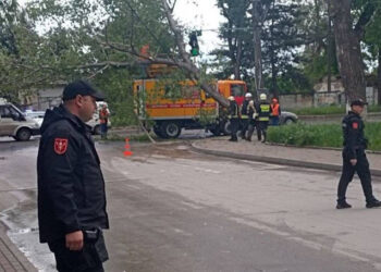 Bălți: O ramură a căzut peste firele electrice. Carabinierii au intervenit