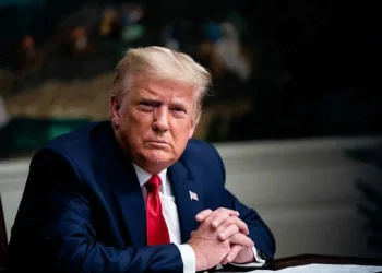 Трамп заявил о предстоящем великом дне после предложения Путина о переговорах