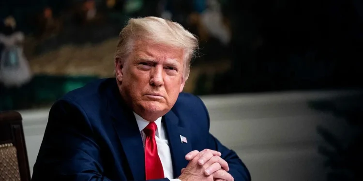 Трамп заявил о предстоящем великом дне после предложения Путина о переговорах