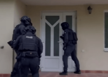 Bărbat reținut în Republica Moldova pentru infracțiuni cibernetice comise în Olanda