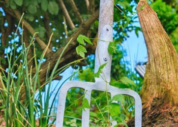 Tânăr de 27 de ani, bătut cu bestialitate în Meșeni, a murit la spital