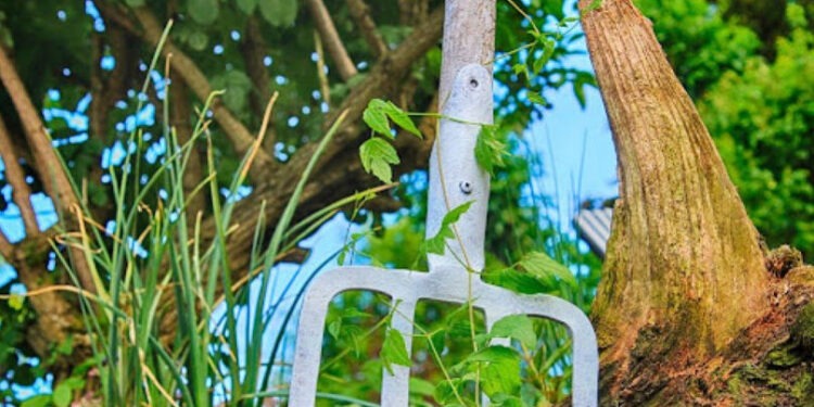 Tânăr de 27 de ani, bătut cu bestialitate în Meșeni, a murit la spital