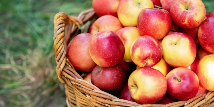 В Молдове яблоки растут в цене