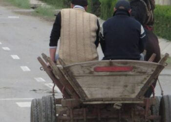 Căruțaș din Florești, depistat conducând sub influența alcoolului