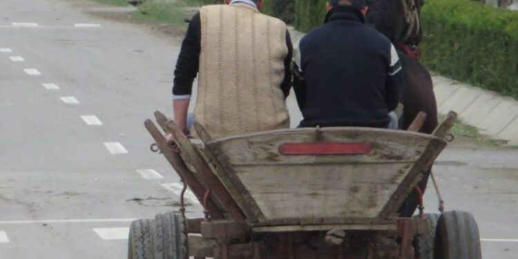 Căruțaș din Florești, depistat conducând sub influența alcoolului