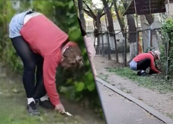 O femeie care săpa zilnic pământul cu un cuțit lângă o grădiniță din Chișinău a fost reținută de Poliție
