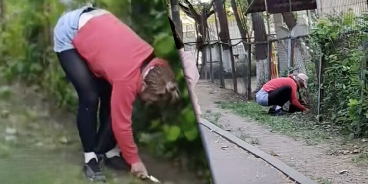 O femeie care săpa zilnic pământul cu un cuțit lângă o grădiniță din Chișinău a fost reținută de Poliție