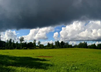 Прогноз погоды на 24 мая