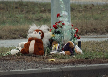 EXCLUSIV: Mama unui copil ucis în trafic cere dreptate. Dosarul stă blocat de peste un an |VIDEO