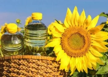 Probleme majore în industria uleiului de floarea-soarelui din Moldova: Exporturile la minim istoric, iar fabricile opresc producția |VIDEO