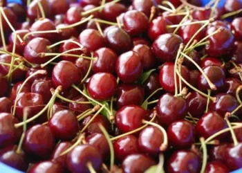 Moldovenii nu-și permit un kilogram de cireșe: „Când le spui prețul, îi dor urechile” |VIDEO