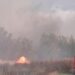 Incendiu de vegetație în apropierea unei sonde de petrol la Cahul. 7 autospeciale și 28 de pompieri au intervenit