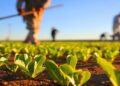 Consilierul premierului pe agricultură, Alexandru Bădărău, demisionează după doar două luni: „Dialogul cu guvernul a fost doar o mimare”