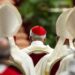 Reguli draconice la conclavul de la Vatican: Rețeaua de telefonie va fi tăiată ca informațiile să nu se scurgă